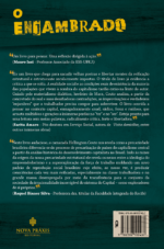 O ENJAMBRADO - A Precariedade Estrutural e o Novo Padrão de Reprodução Social Brasileiro contra