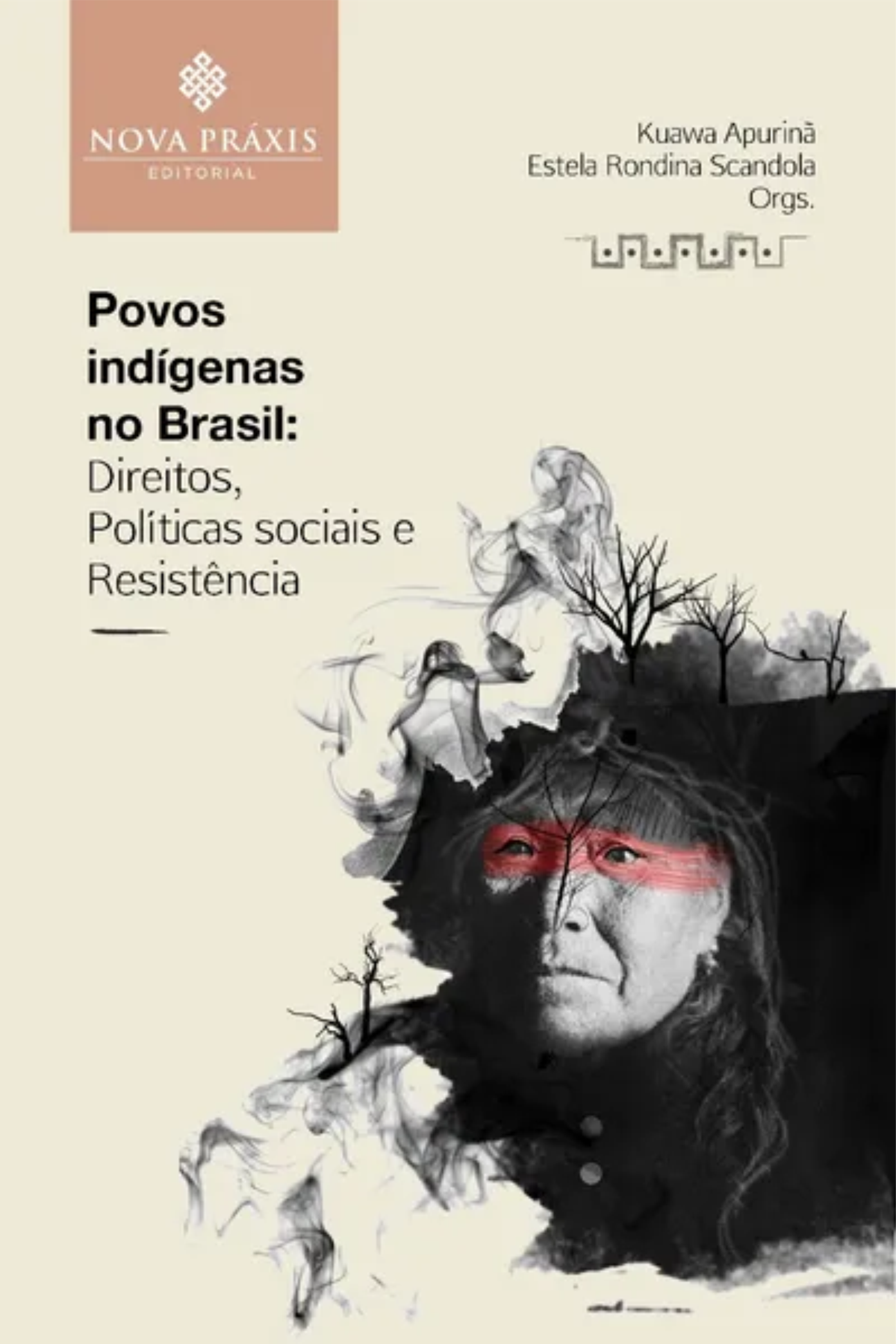 Povos Indígenas no Brasil capa