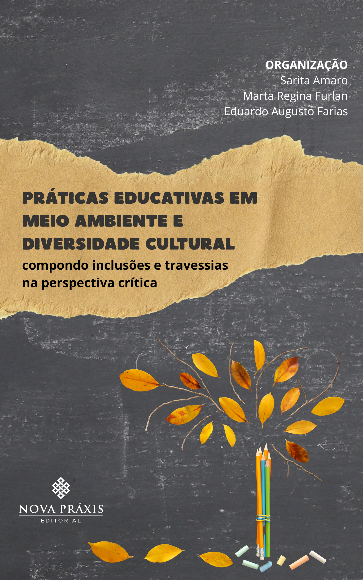 1 Práticas educativas em meio ambiente e diversidade cultural - Imagem 1